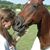 Shannon Burton's profile image