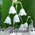 Marybeth Howard Olson's profile image