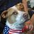 Pat Morse's profile image