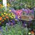 Gail Hogan Lucia's profile image