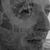 Robs Nott's profile image