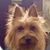 Sheila Dunn's profile image
