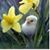 Nancy Fall's profile image