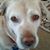 Terri Hartley's profile image
