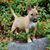 Carol Tripp's profile image