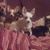 Theresa Maria Furtado's profile image
