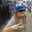 Sara Myszka's profile image