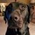 Susan Respondek-Przybylinski's profile image
