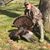 Randy Bland's profile image