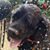Sue Kellom's profile image