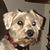 Lisa M Smith's profile image