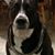 Scott Giczkowski's profile image