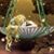Titania Szerelem's profile image