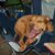 Kim Shiell Jolley's profile image