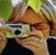 Sigrid Gräwert's profile image