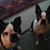 Jennifer Decuir's profile image