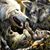 Julley Jewels's profile image