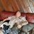 Jim Szyminski's profile image