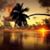 Patricia Ellsworth Ott's profile image