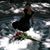Christina Madonna Adams's profile image