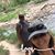 Cathy Garcia's profile image