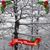 Nancy Grawe Cornelius's profile image