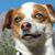 Lara Conway's profile image
