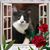 Jasper Kat's profile image