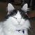 Beckie Murphy's profile image