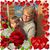 Barb Dunkle's profile image