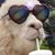 Stefani Carroll's profile image
