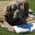 Sharon Hafelein's profile image