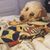 Cassie Carpenter's profile image