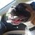 Cathie Logan's profile image