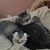 Kaye Lynn Jones-Vogus's profile image