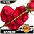 Darlene White's profile image