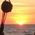 Sue Trattles's profile image