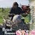 Sherri Lee Roby's profile image
