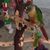 Tina Leleux Boudreaux's profile image
