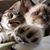 Stacy Tixier's profile image