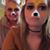 Carol Tatum Stanton's profile image