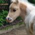 Doby A.'s profile image