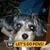 Denise Greene Bollinger's profile image