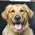 Danielle Kendrick Foliart's profile image