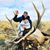 Kodey Rosen's profile image
