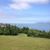 Robert Nodine's profile image