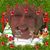 Maureen E Symonds's profile image