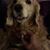 Marie Hasley-Coleman's profile image