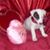 Judy Barnes's profile image