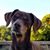 Theran Mills's profile image